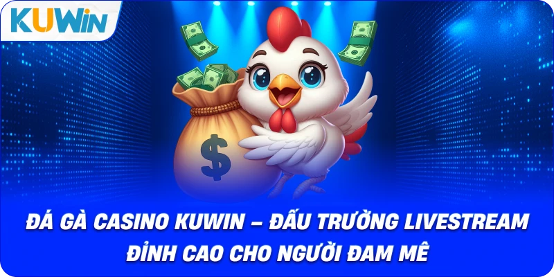 Đá Gà Casino Kuwin – Đấu Trường Đỉnh Cao Cho Người Đam Mê