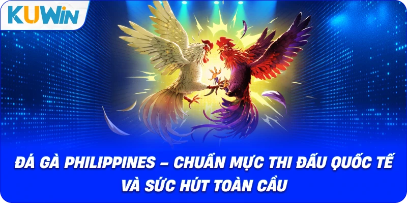 Đá Gà Philippines – Chuẩn Mực Thi Đấu Quốc Tế Và Sức Hút Mới