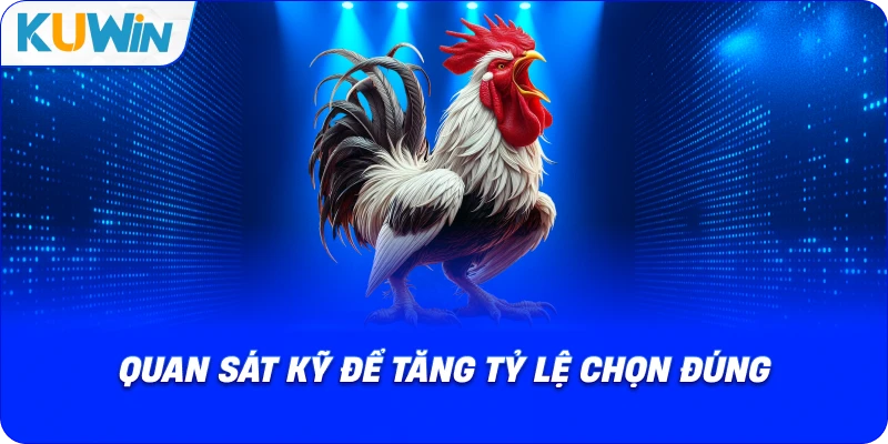 quan sát kỹ để tăng tỷ lệ chọn đúng